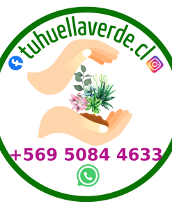 tu huella verde